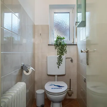 Mein Lieber Schwan Daire